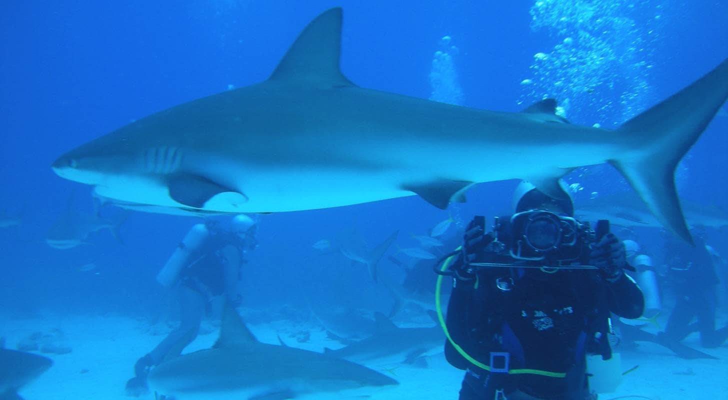 Partez en vacances aux Bahamas avec un vol au meilleur prix