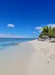Vol pas cher Dominique