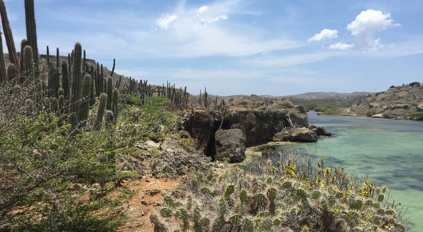 Billet d’avion pour Curaçao, exploration d’un paysage naturel de l’île
