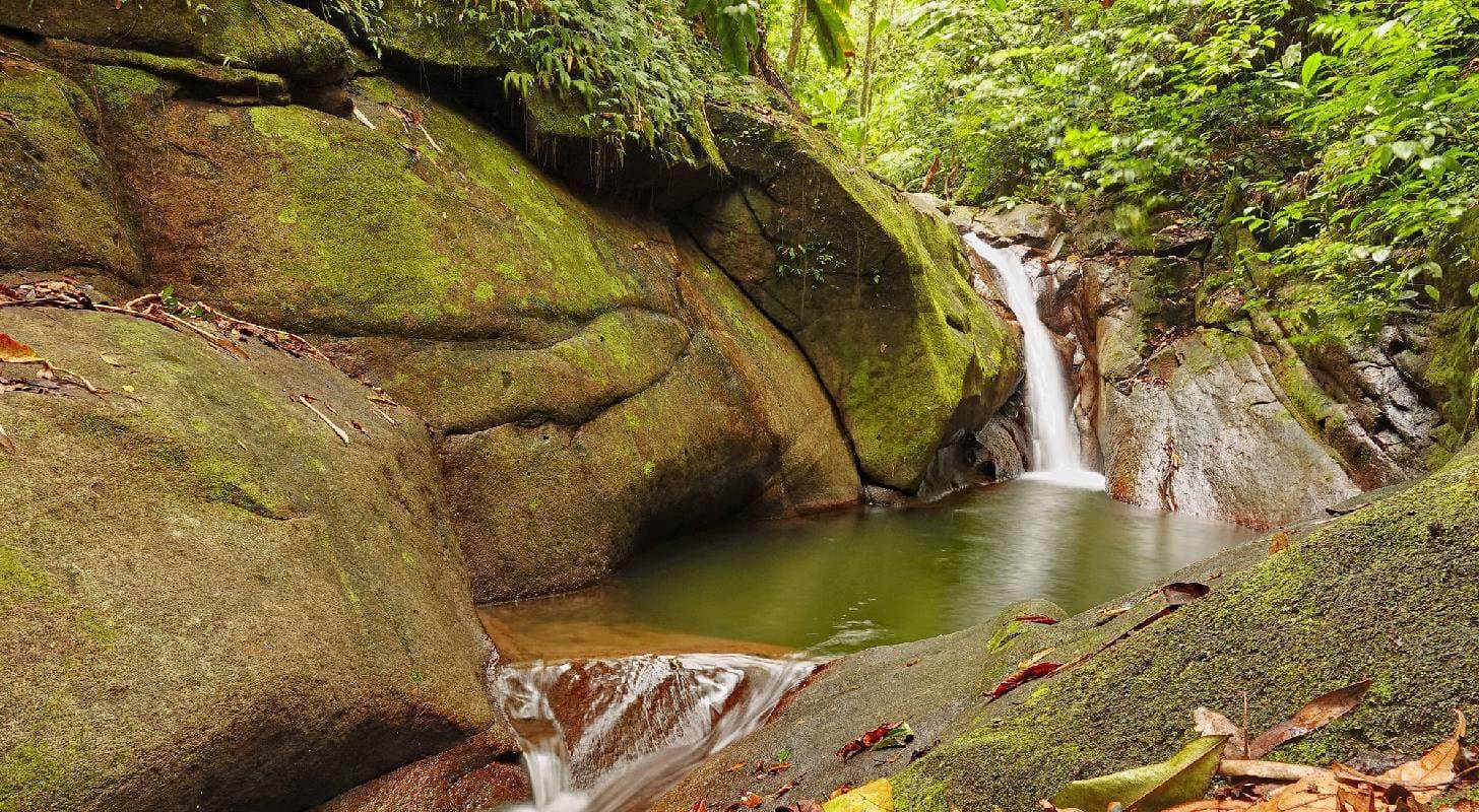 Partez en vacances à St Lucie et admirez les chutes d'eau d'Enbas Saut 