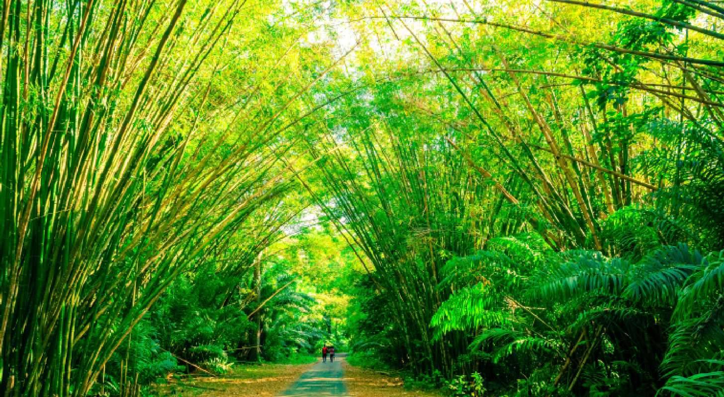 Voyage à Trinidad et Tobago