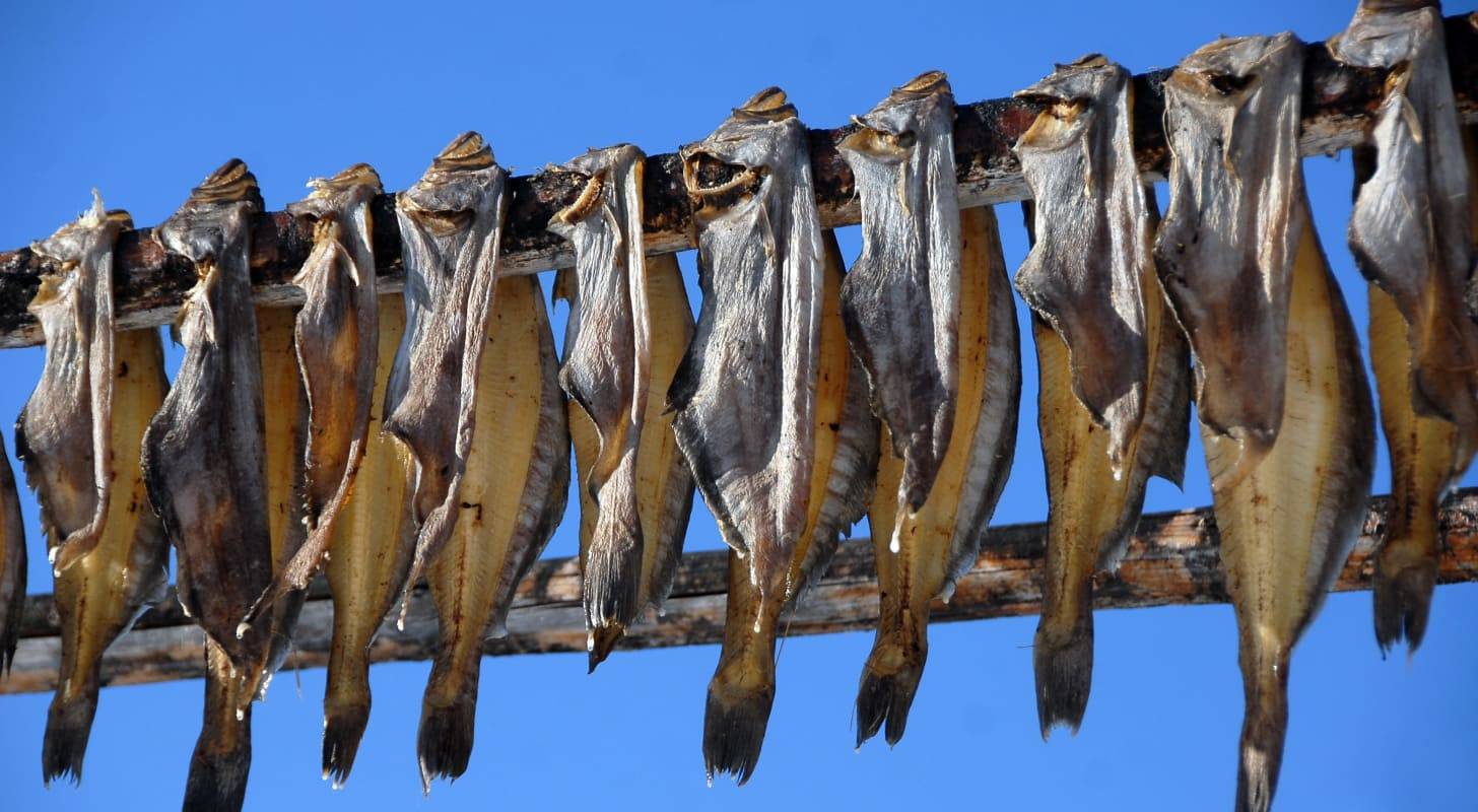 Partez en voyage au Groenland et testez les spécialités locales comme le poisson séché