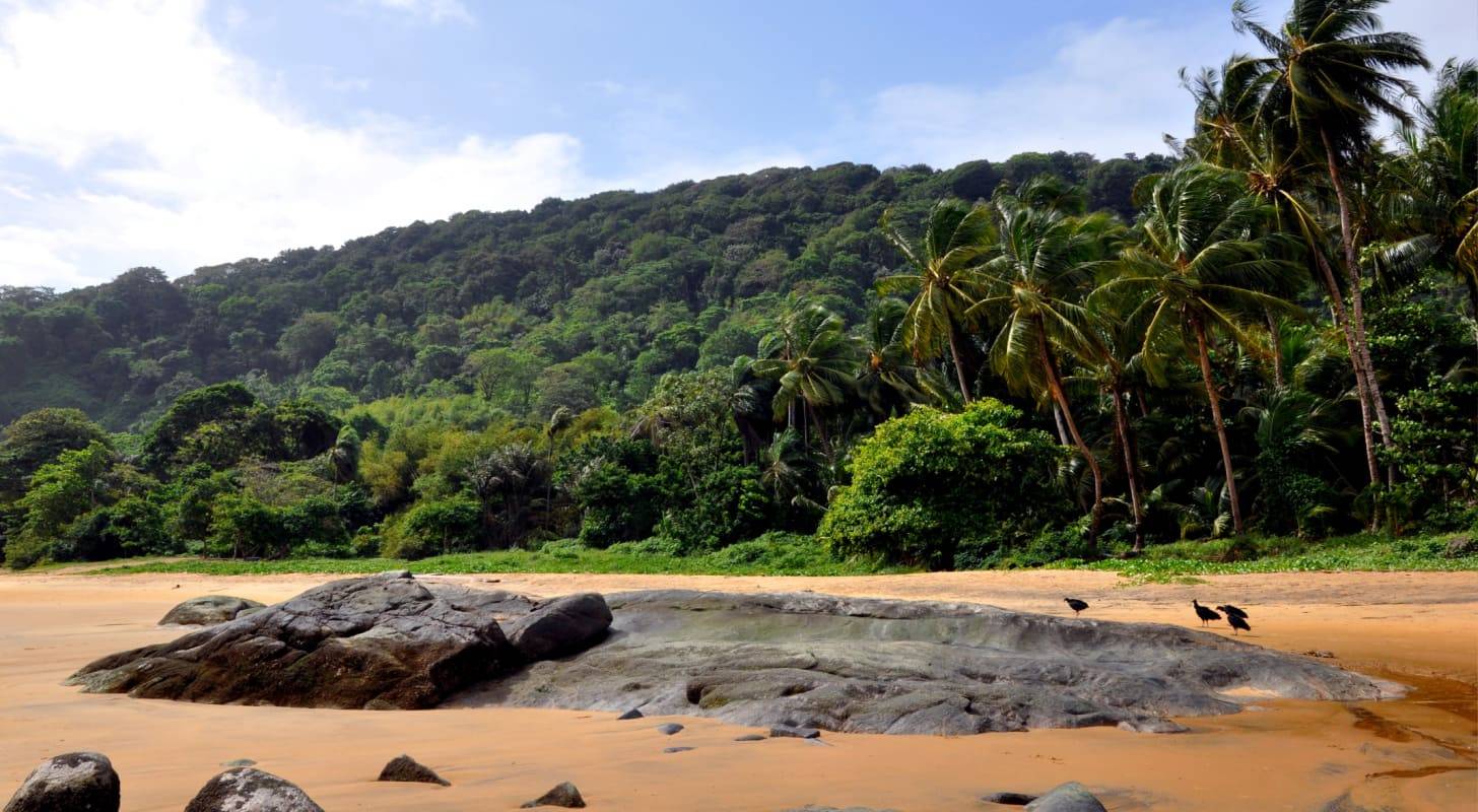 Trouvez un billet d'avion pas cher pour la Guyane 