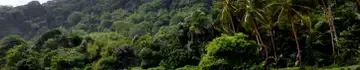 Guyane