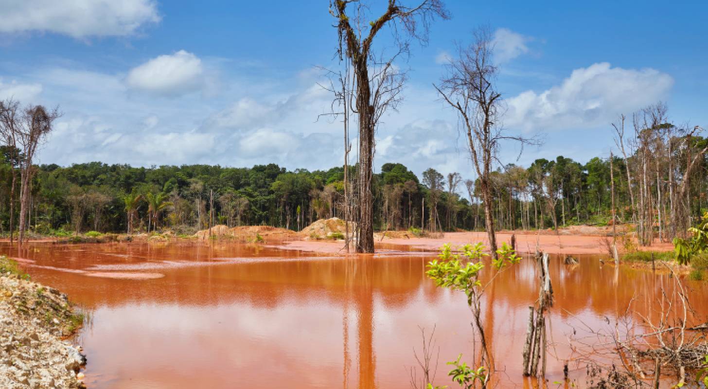 Voyagez au Suriname avec un billet d'avion pas cher et découvrez sa nature sauvage