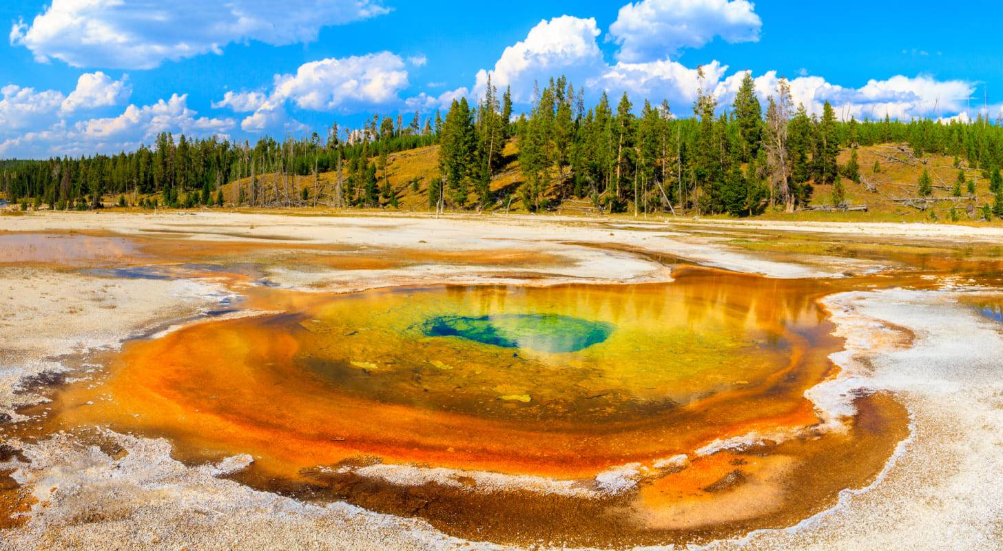 Réserver un vol pour les Etats-Unis au meilleur prix et visiter le parc de Yellowstone