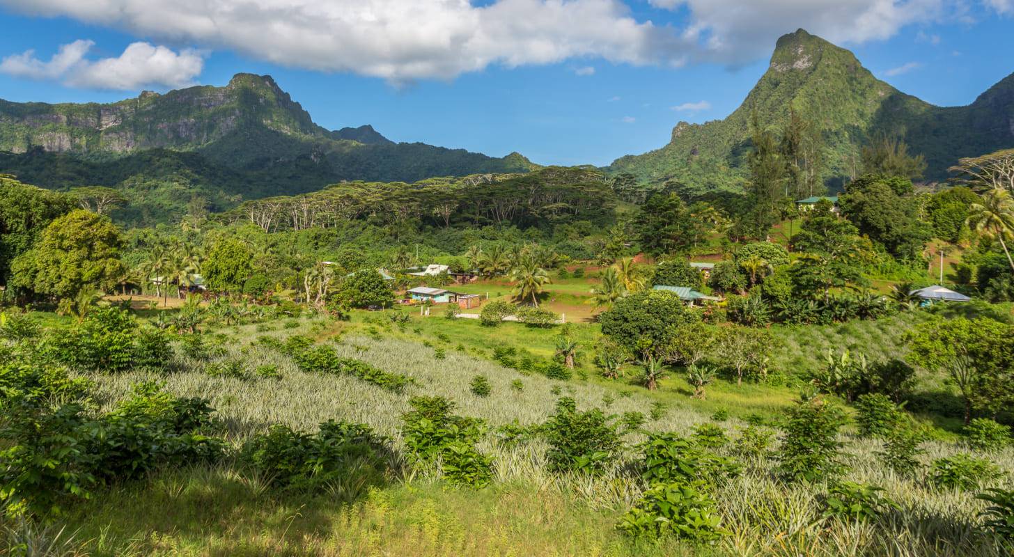 Voyage à Moorea, exploration de la route des ananas près de Tahiti