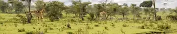 Kenya