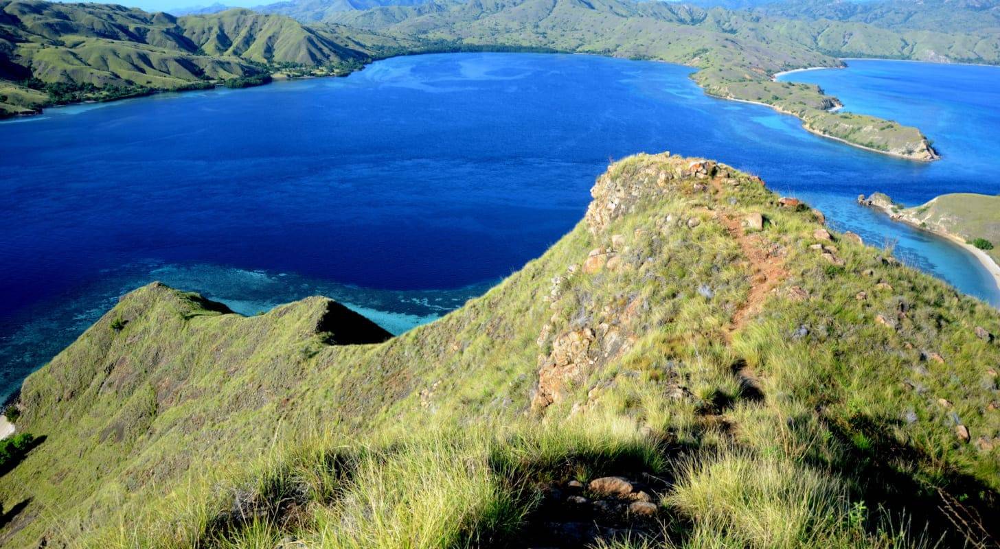 Voyage à l’île Komodo, à la rencontre des célèbres dragons de Komodo