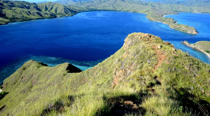L'île Komodo Voyage à l’île Komodo, à la rencontre des célèbres dragons de Komodo