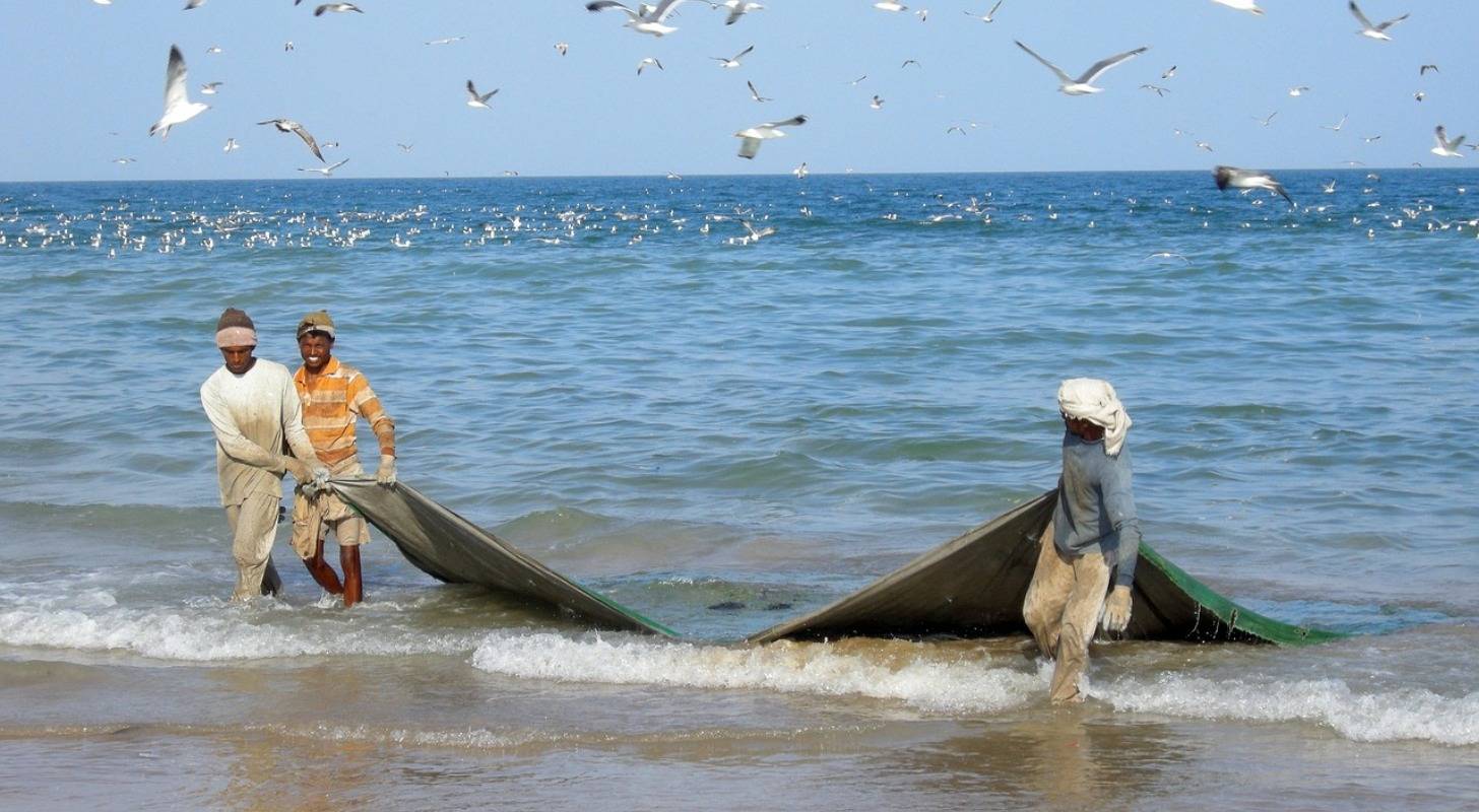Voyage au Koweït, des pêcheurs sur le Golfe persique