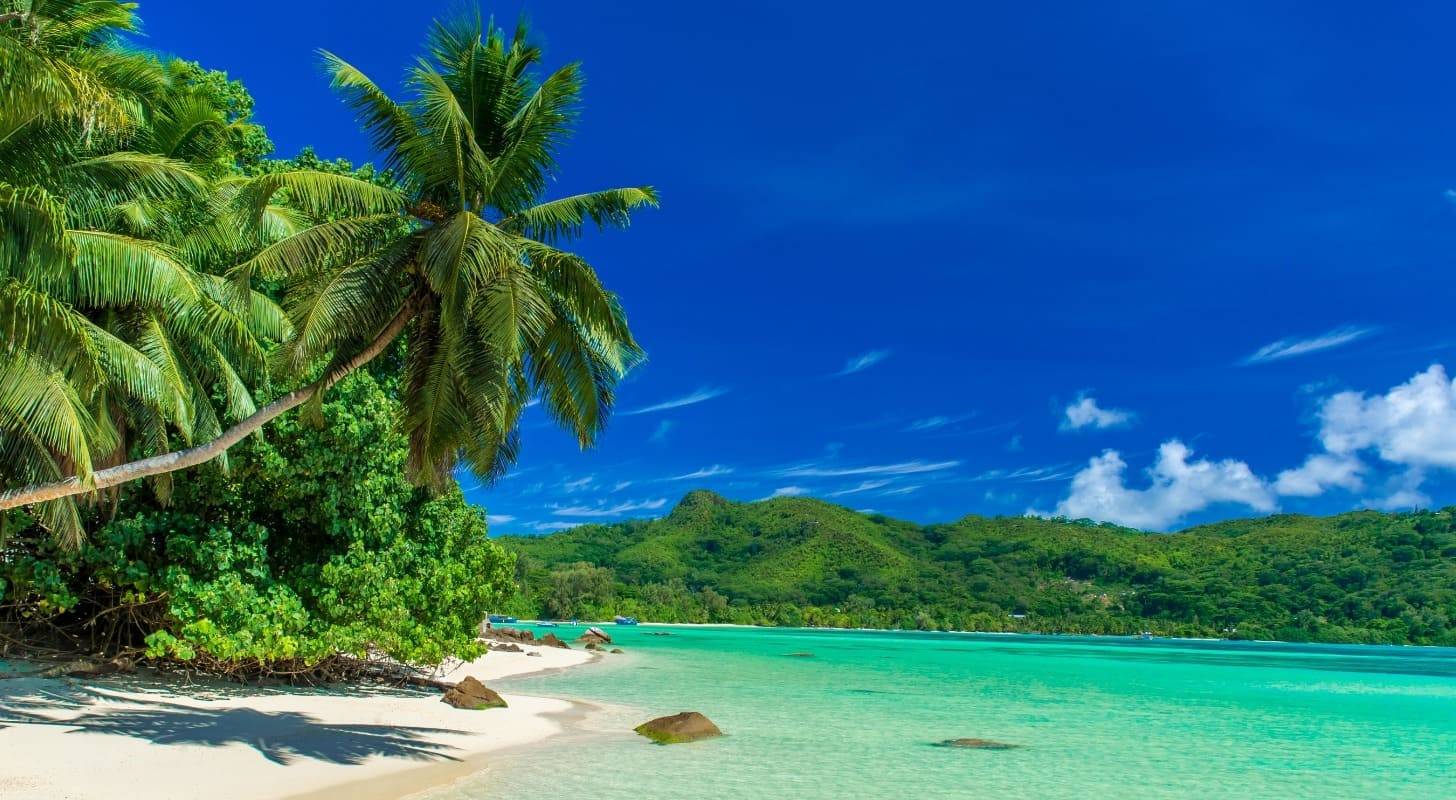 Vol pas cher pour les Seychelles