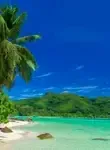 Vol pas cher Les Seychelles