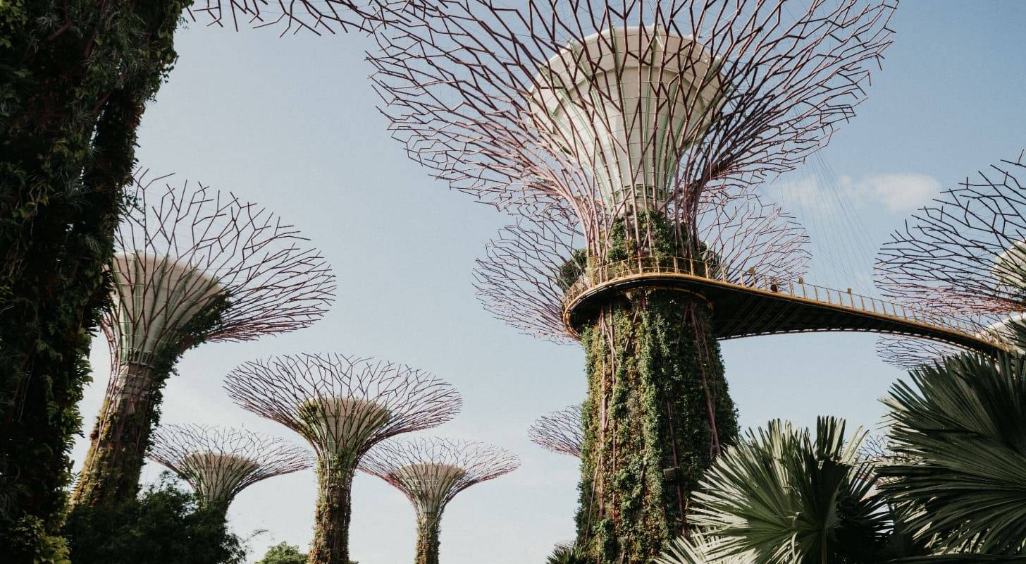 Billet d’avion pour Singapour, balade aux Jardins sur la baie
