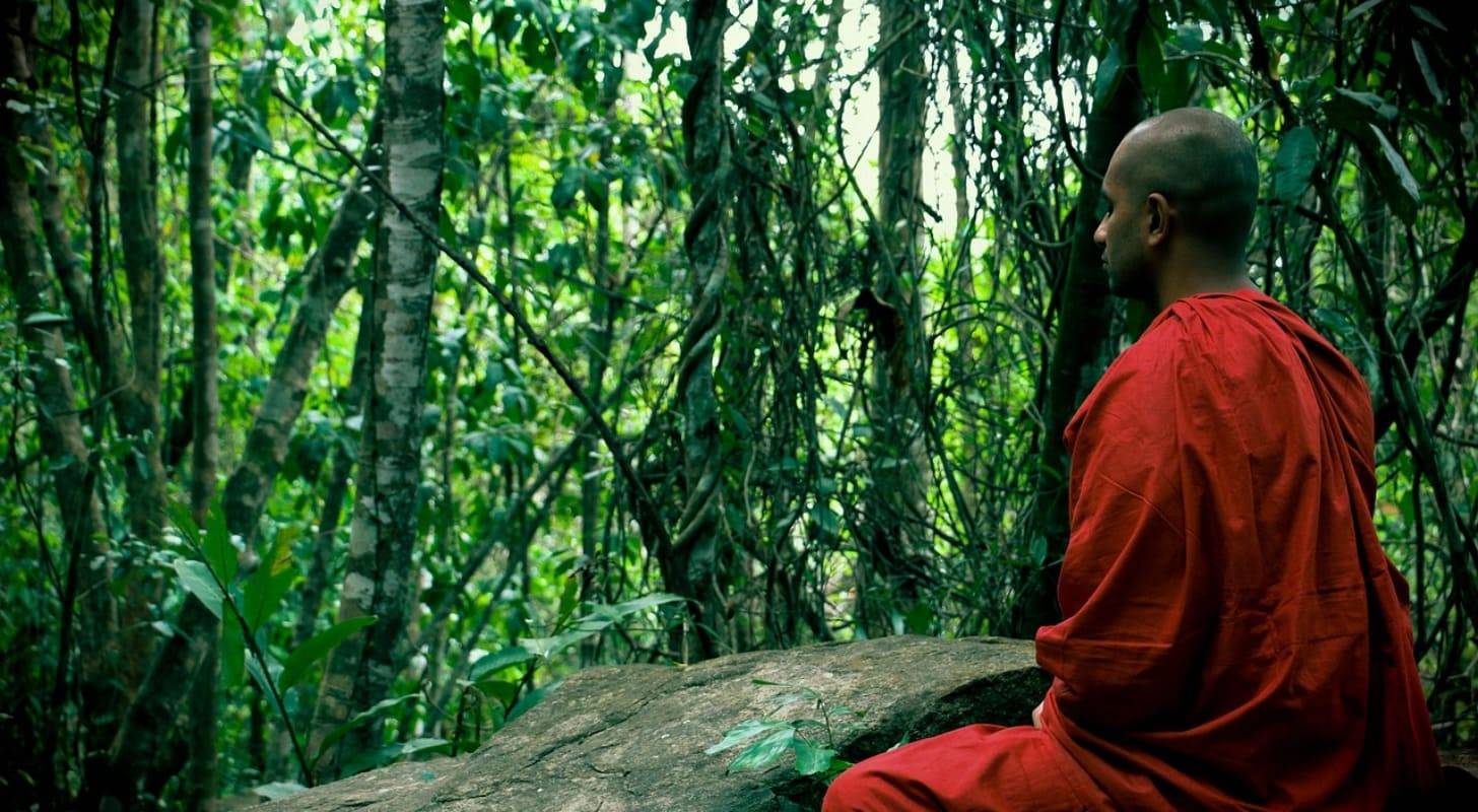 Vol pas cher pour le Sri Lanka, moine bouddhiste en méditation