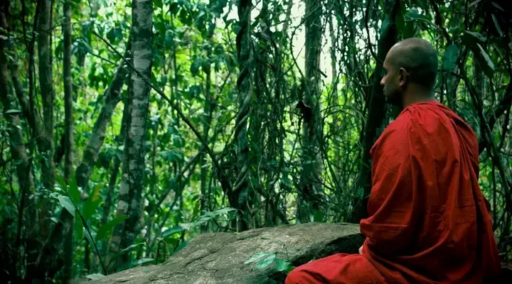 Un moine bouddhiste faisant une séance de méditation Vol pas cher pour le Sri Lanka, moine bouddhiste en méditation