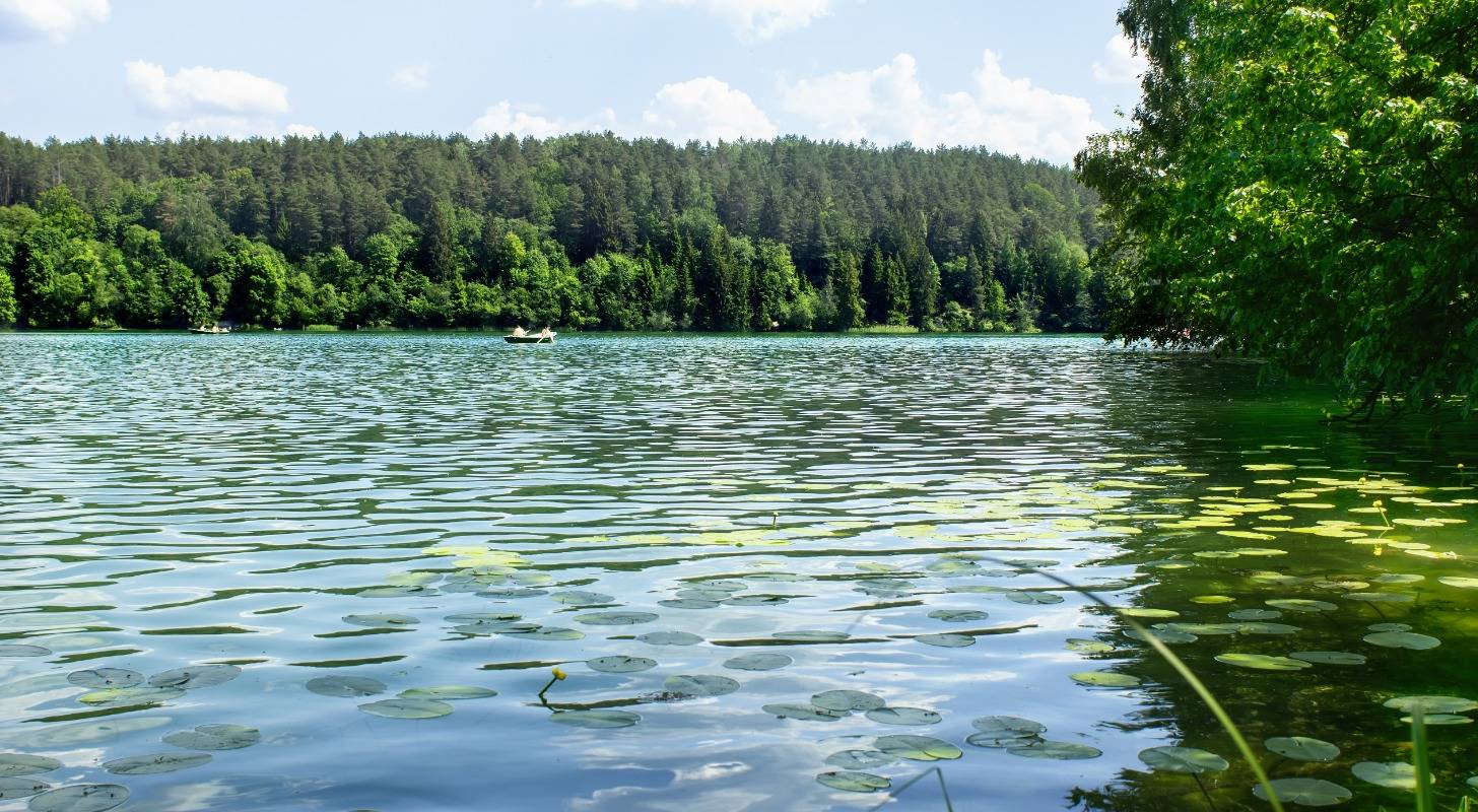 Réservez un vol pour la Lituanie et détendez-vous au lac Balsys près de Vilnius