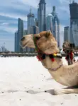 Vol pas cher Émirats Arabes Unis