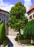 Vol pas cher Slovénie