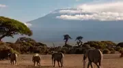 Vol Londres Kilimandjaro pas cher