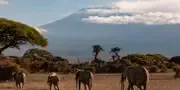 British Airways mise sur le Kilimandjaro pour son retour en Tanzanie Vol Londres Kilimandjaro pas cher