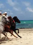 Vol pas cher Djerba