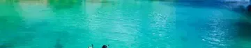 Tahiti