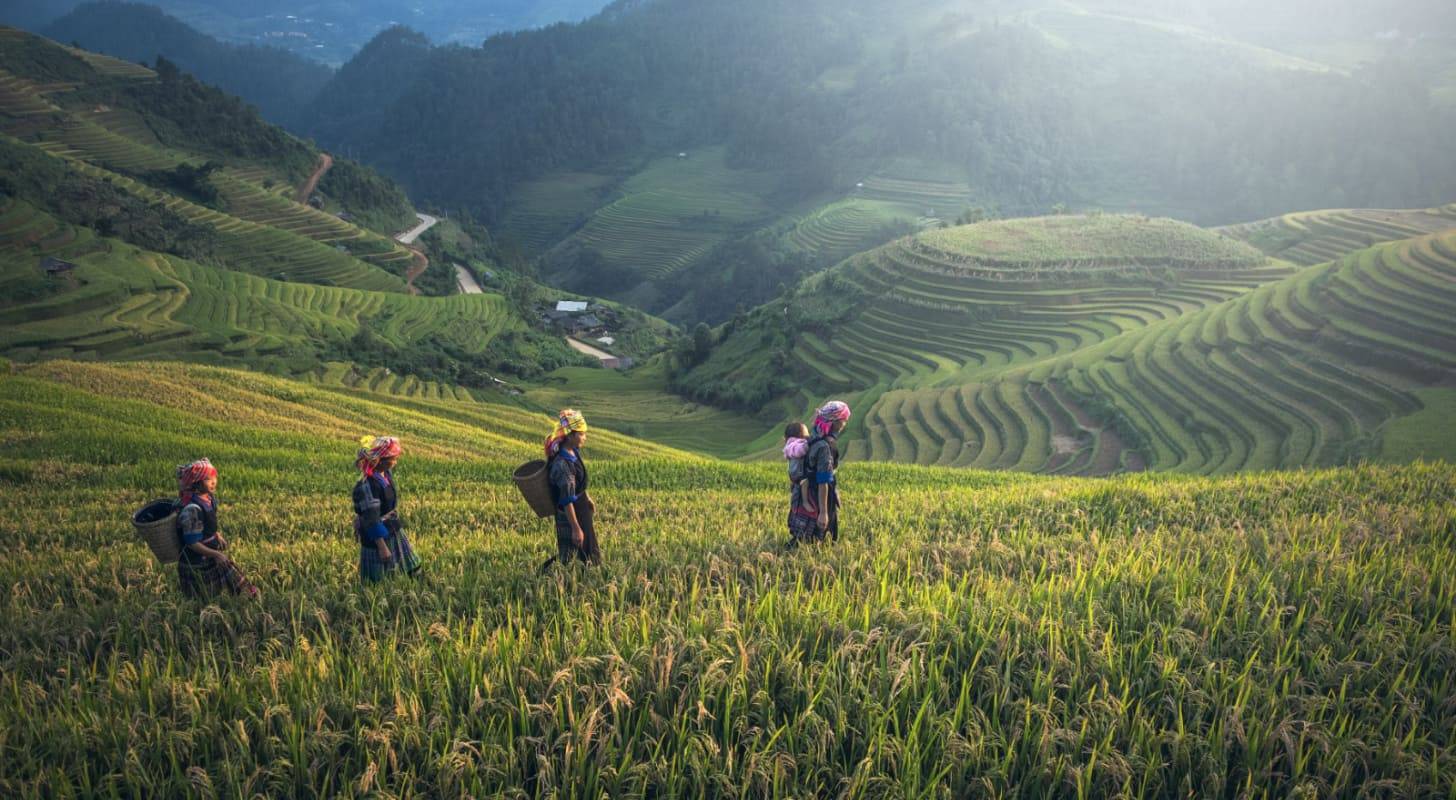 Voyage à Bali, paysans travaillant dans une rizière