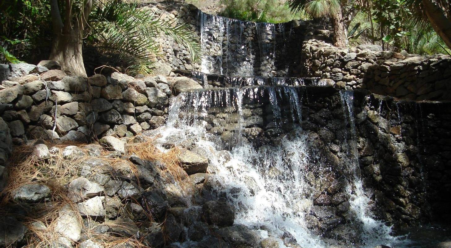 Découvrez le parc Palmitos et sa faune exotique, réservez un billet d'avion pas cher pour Grande Canaria