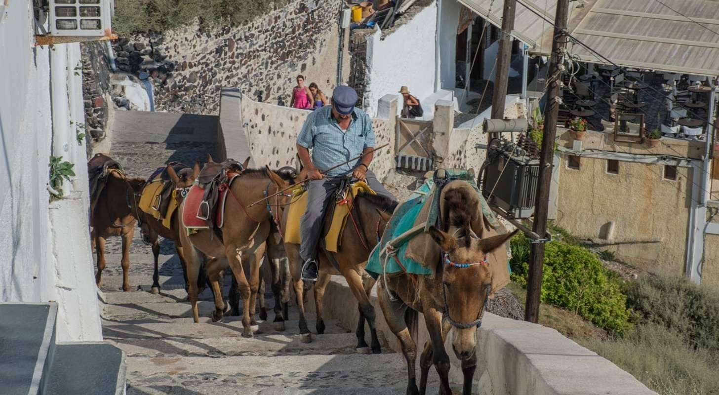 Réservez votre voyage en Grèce au meilleur prix pour Santorin et faites une balade à dos d’âne à Santorin