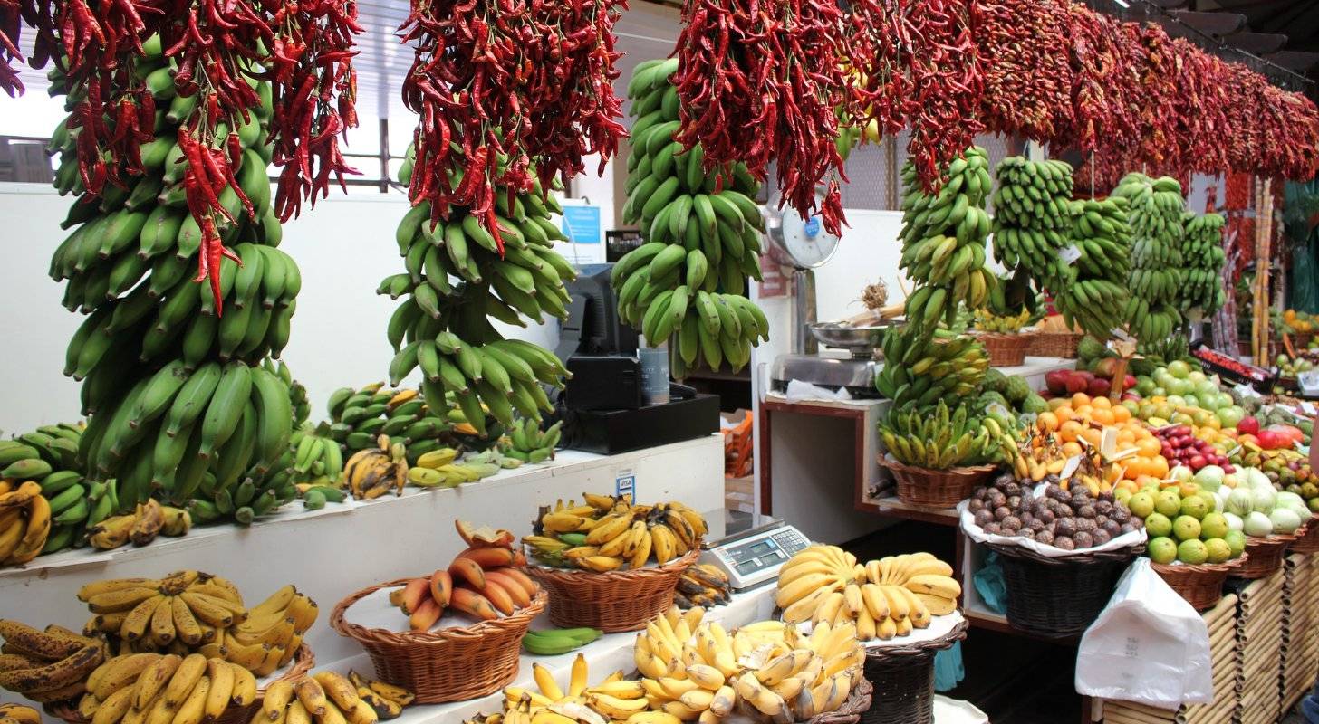 Voyage à Madère, découverte des jardins et marchés colorés