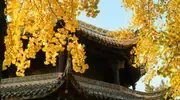 Vols au départ de Bruxelles avec Air China pas cher
