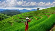 Long Thanh prend son envol et Noi Bai s’agrandit