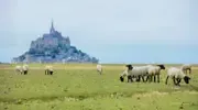 La France dépasse les 102 millions de touristes en 2025