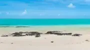 Corsair ouvre son nouveau vol Toulouse - L’île Maurice Corsair ouvre son nouveau vol Toulouse - L’île Maurice