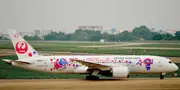 Japan Airlines expérimente un biocarburant issu des déchets du riz pour ses opérations au sol Biocarburant Japan Airlines - Vol éco-responsable Japon