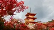 Vol Japon pas cher avec Aéroports Voyages