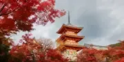 Vol Japon pas cher avec Aéroports Voyages