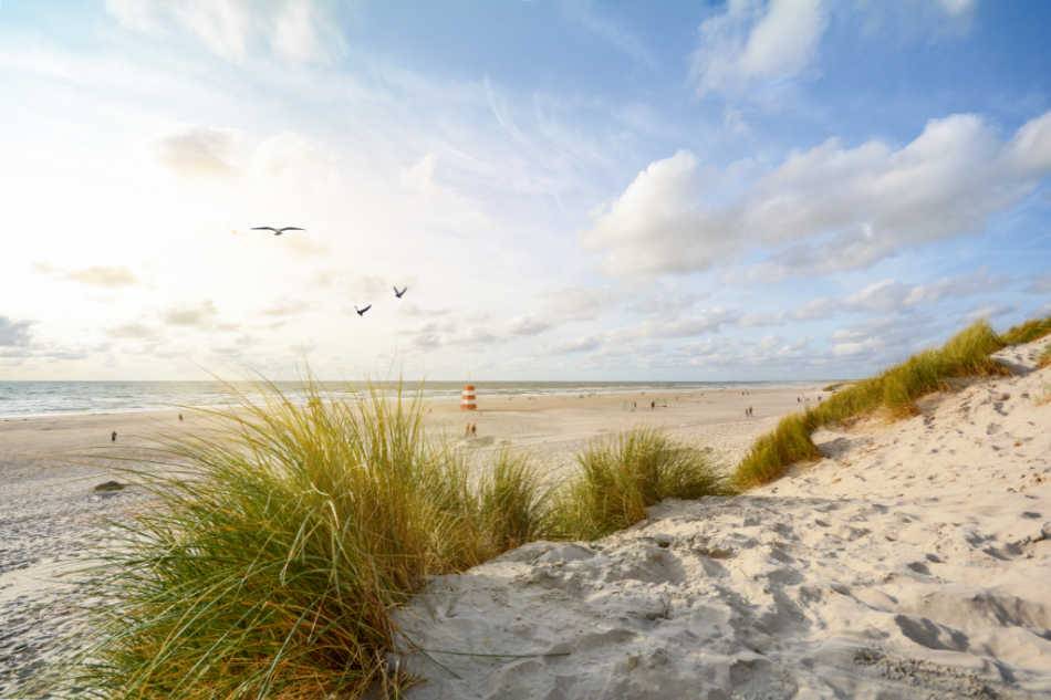 Vue d'une belle plage de sable au Danemark