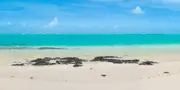 Photo d'une plage à l'île Maurice