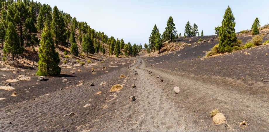 Photo d'une coulée de lave sur l'Ile de La Palma