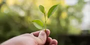 protection environnement protection environnement