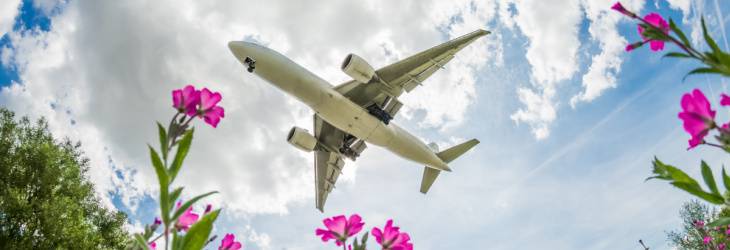 Les aéroports participent de plus en plus à la sauvegarde la biodiversité