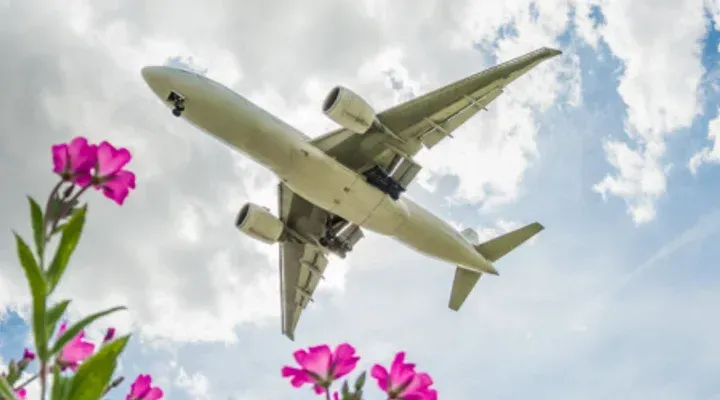 Les aéroports participent de plus en plus à la sauvegarde la biodiversité Les aéroports participent de plus en plus à la sauvegarde la biodiversité